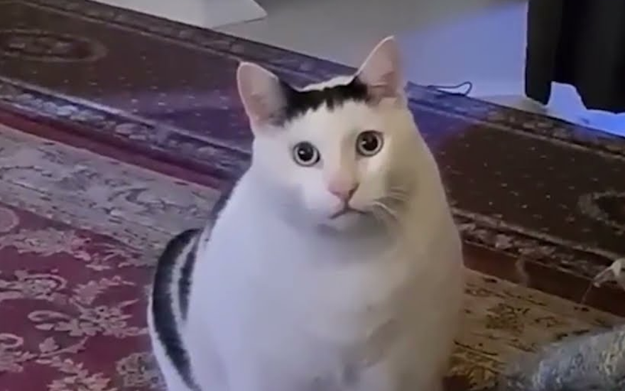 Защита от кринжа