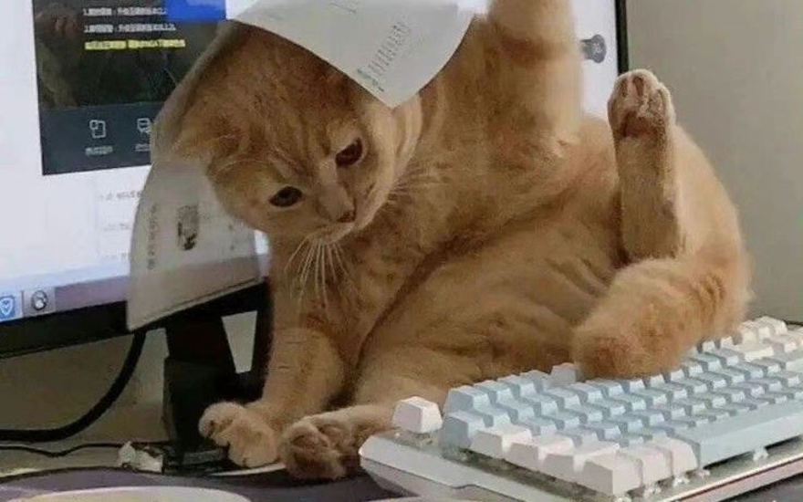 Куда я жмав