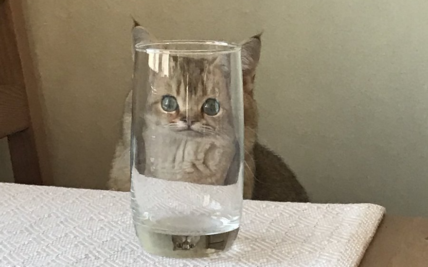 Что было - то прошло