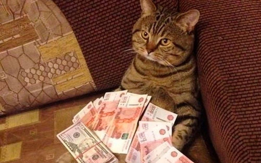 Счёт по-братски