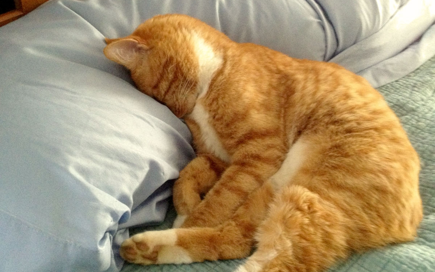 Волшебный уход от работы