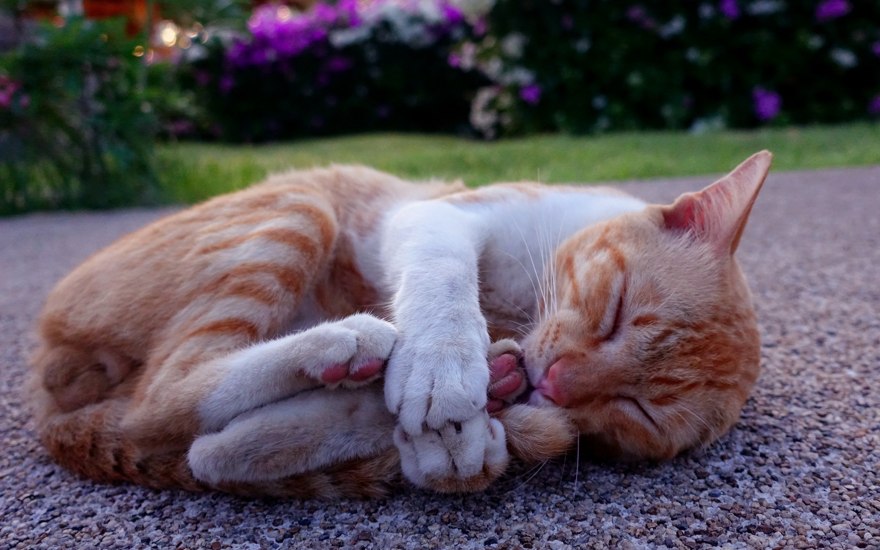 Держу себя в руках