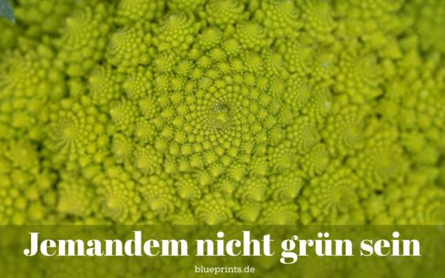 «Он мне не по душе!»