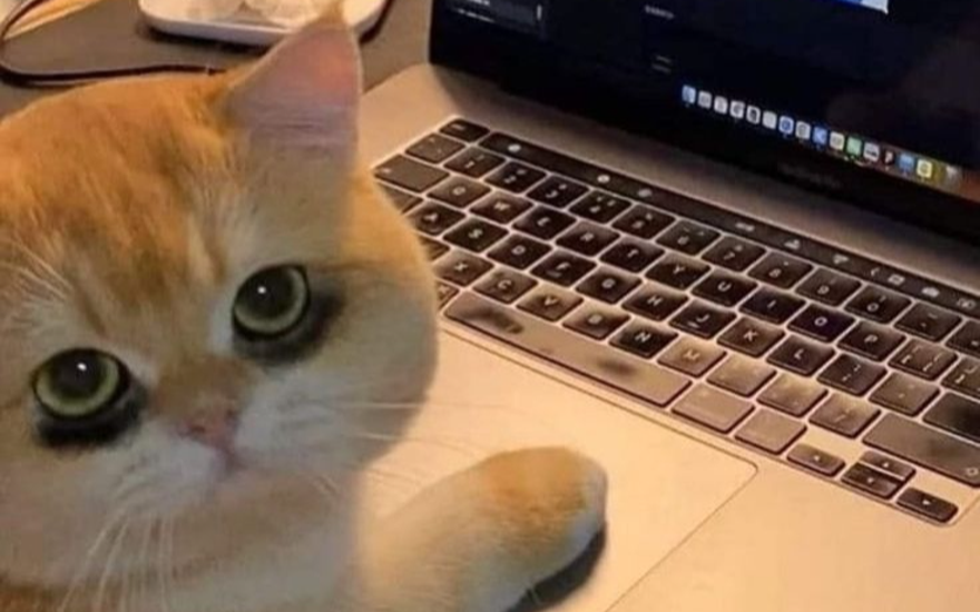 Работающий кочевник