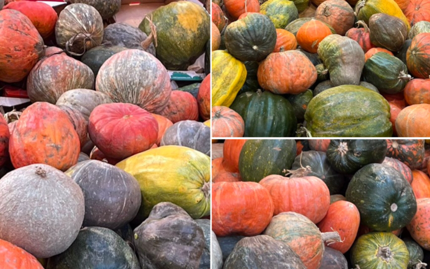 Мне дали тыкву