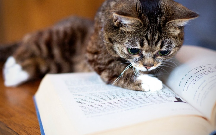 Небывалый сказочник