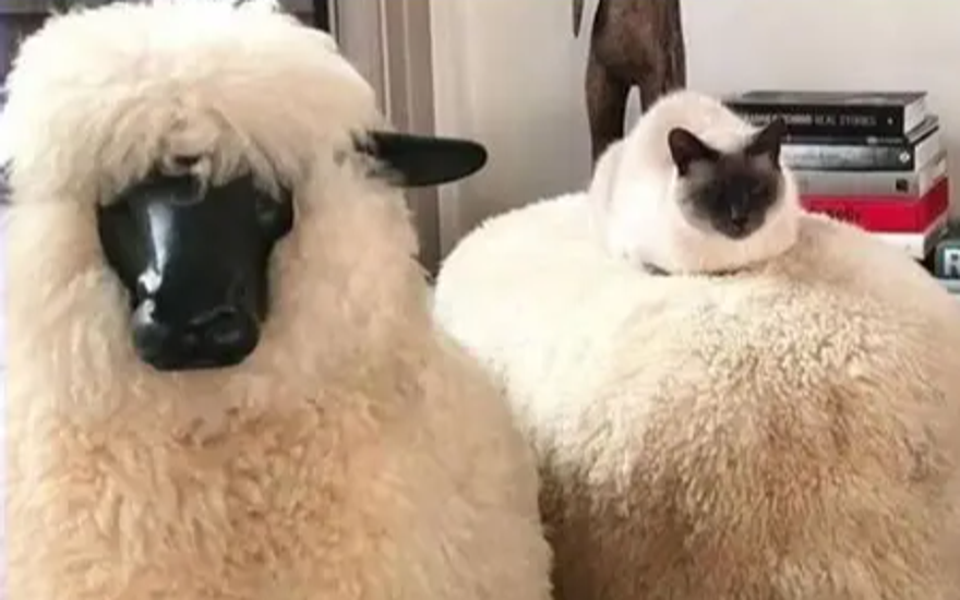 Ему мерещится