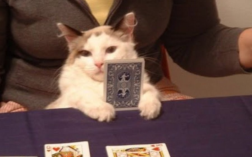 Какую карту оставишь себе?