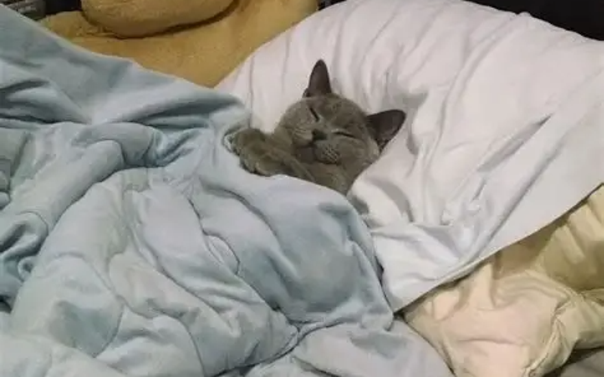 Будь, что будет