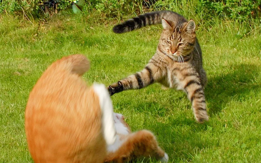 Отношения — всё