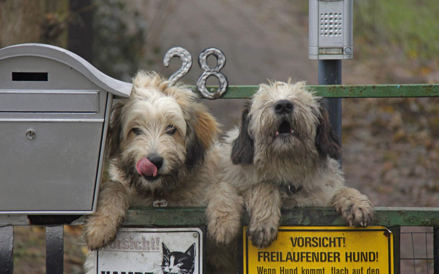 Кого задело, тот и лает