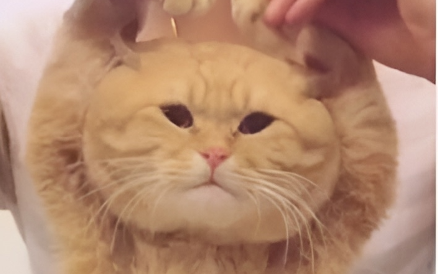 Без тебя я как ручка без стержня!