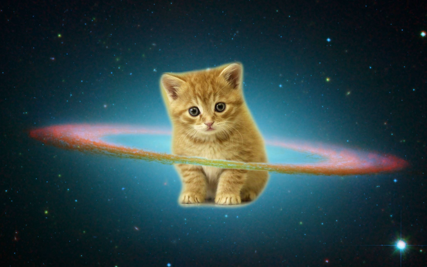 Временно в космосе