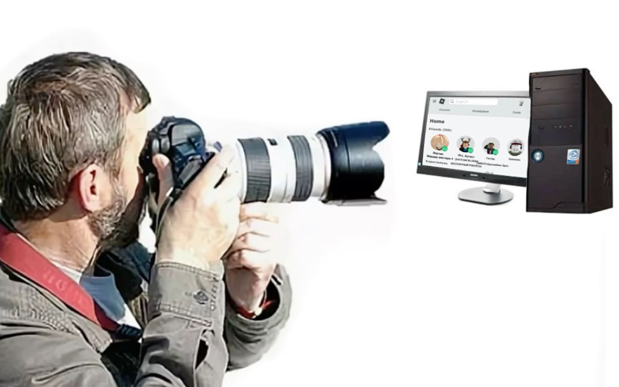 Феномен 박제