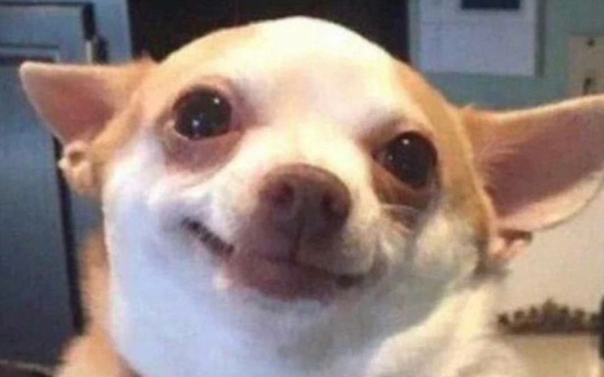 Бесстрашный малыш