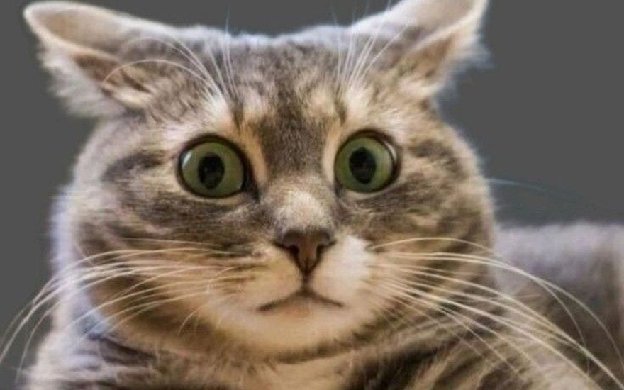 Тебе поострее?