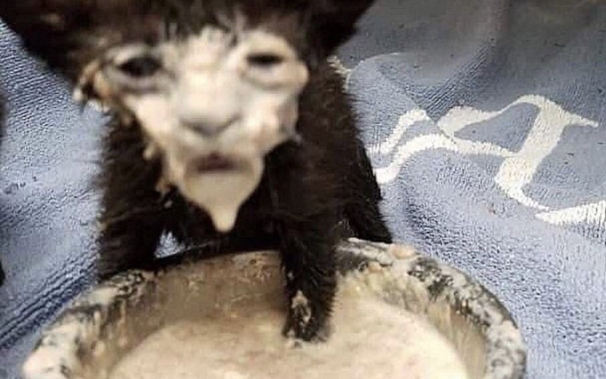 А что вы делаете в моём холодильнике?