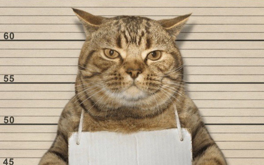 Заперли корейца в тюрьме...