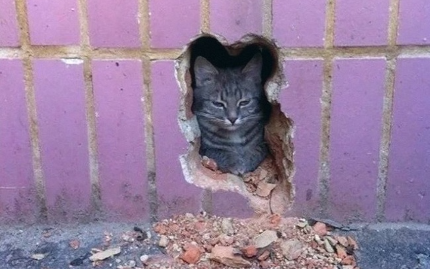 Аста ла виста по-арабски