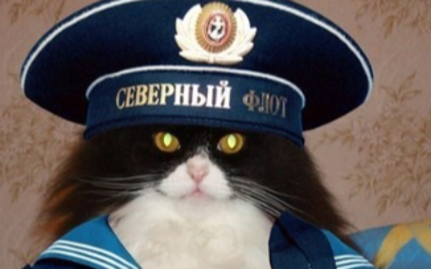 Морская ткань