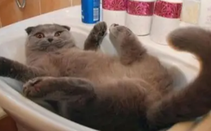 Глупее Абундио