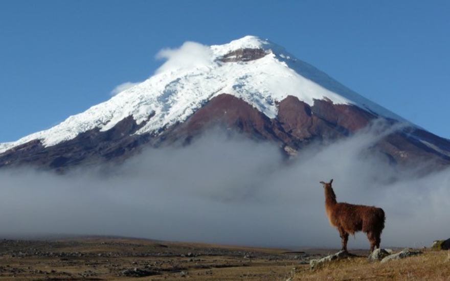 Высокогорные междометия