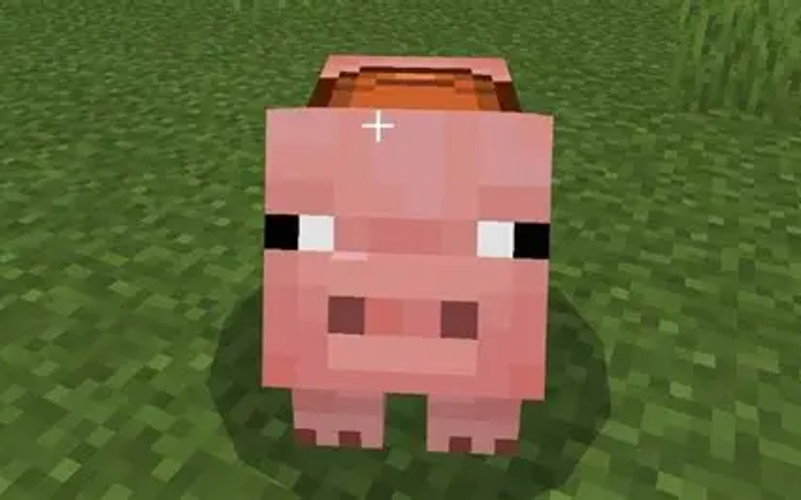 Неряха — это грубо