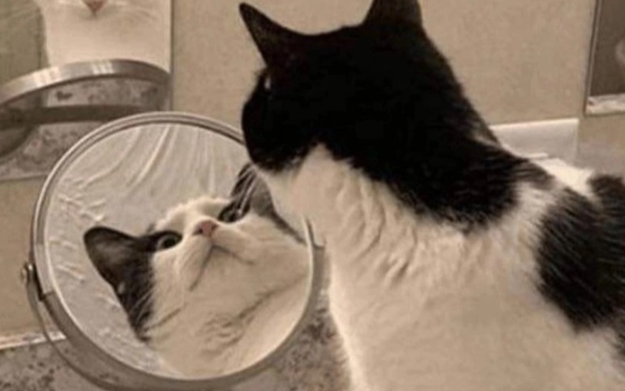 Обратная сторона subir