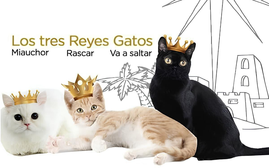 Больше, чем просто regalo