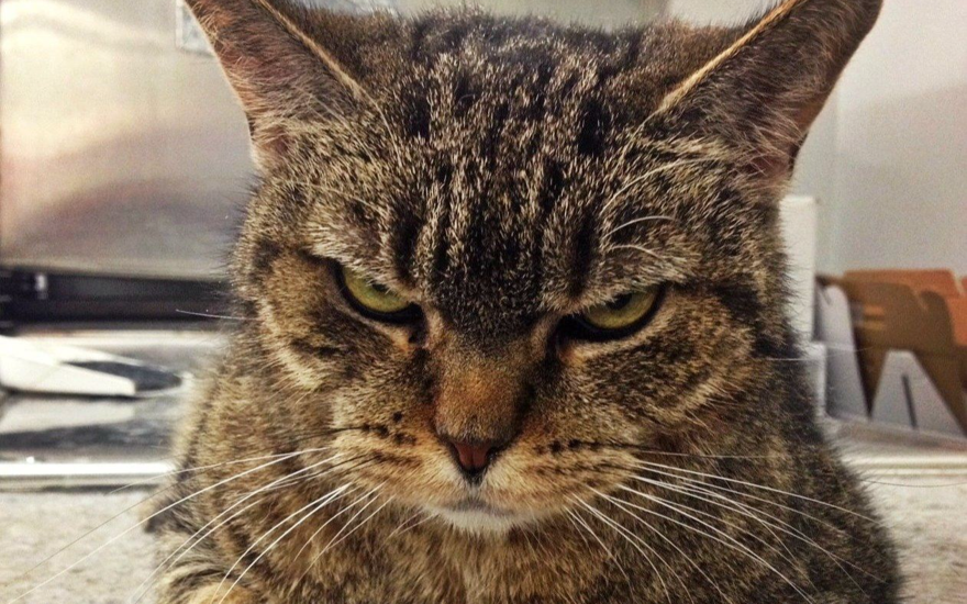 Неприемлемо