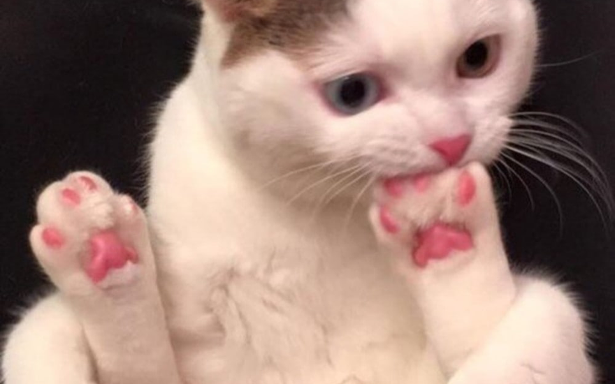 Как понять, что вы действительно готовы к экзамену