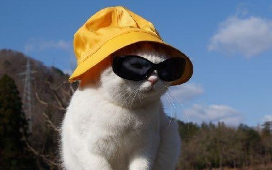 Не на что вешать шляпу