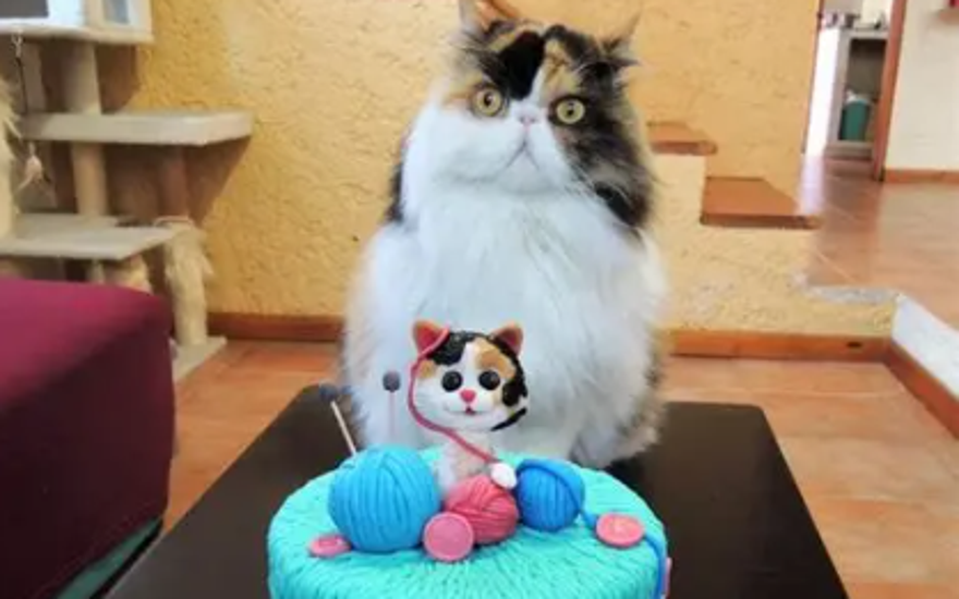 Йопта-кондитер