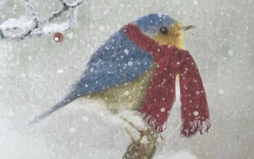 Зима-холода