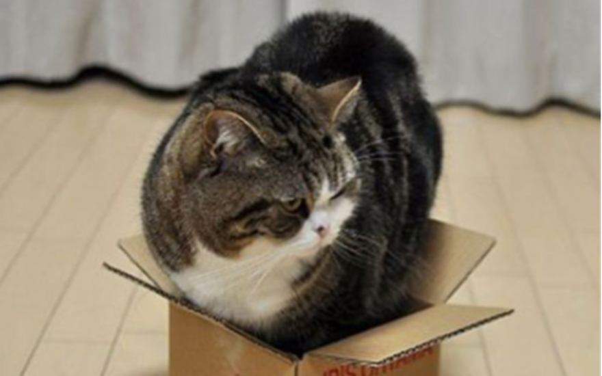 Когда всего через край