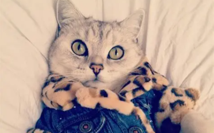 Как выглядеть на миллион