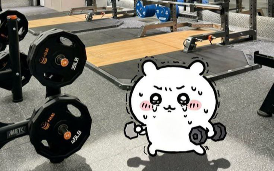 Пора качаца