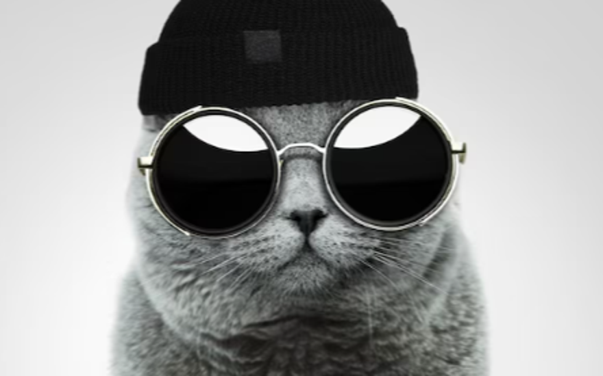 Стареть можно модно