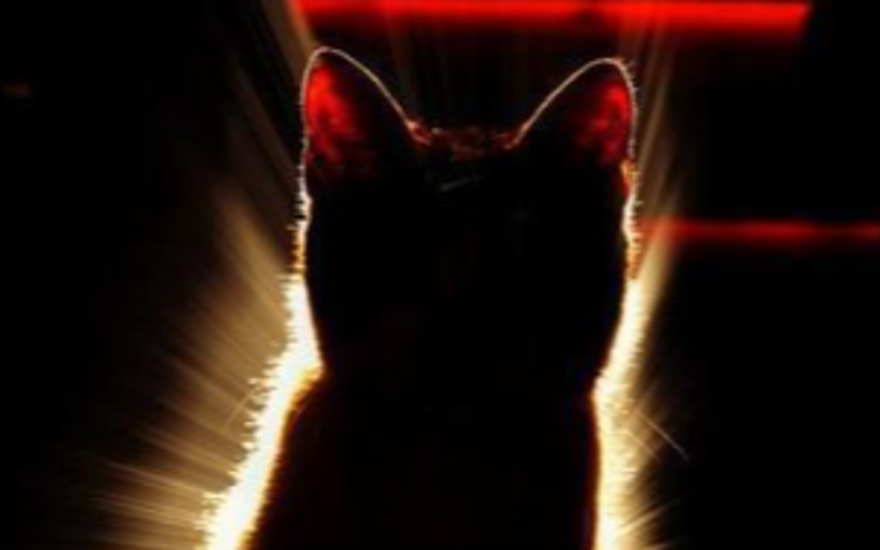 Сила в тени