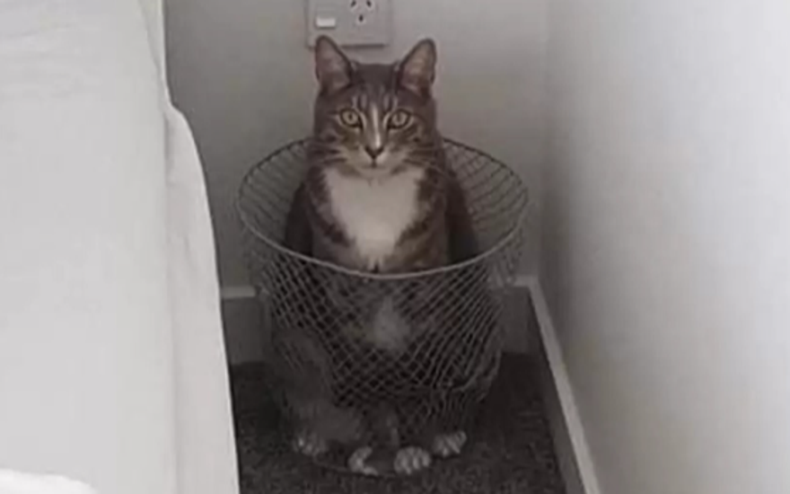 Отброс общества