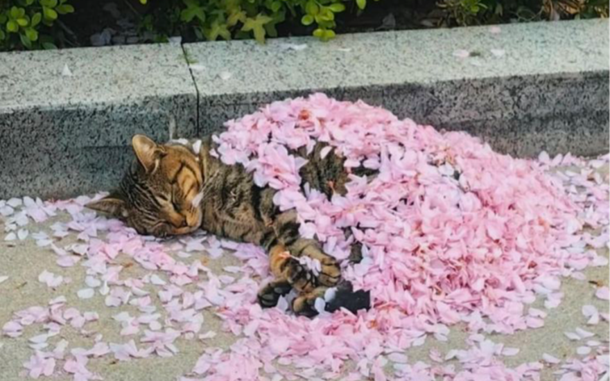 Пословицы про весну