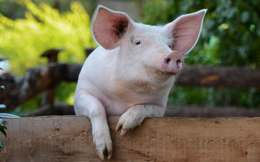 Везёт же людям...