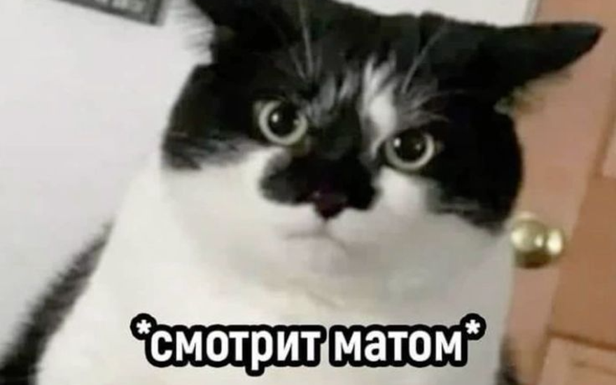 Щибаль — всё