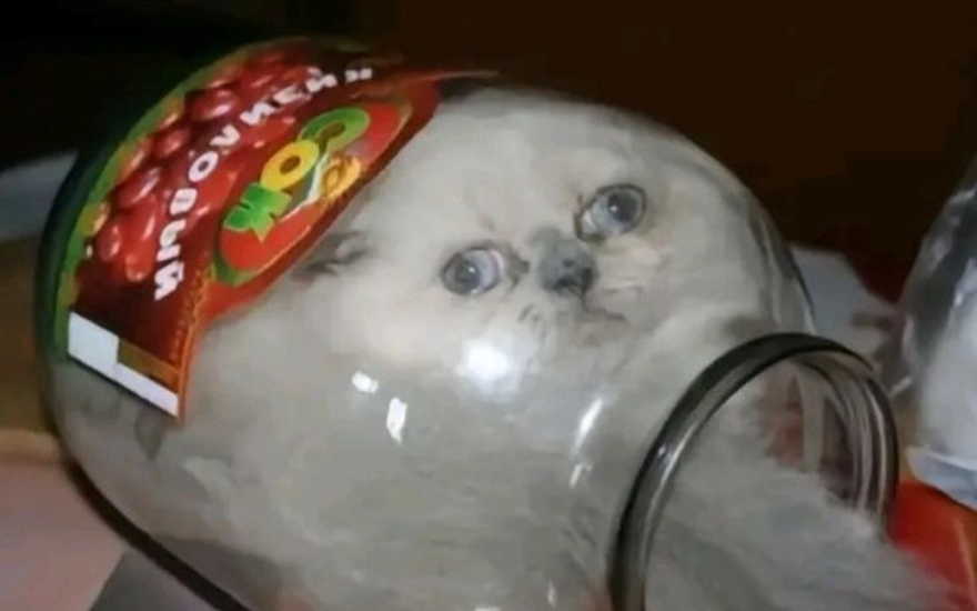 Не вытекать из формы