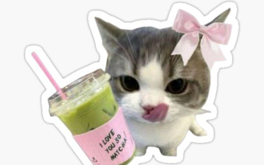 Matcha lover