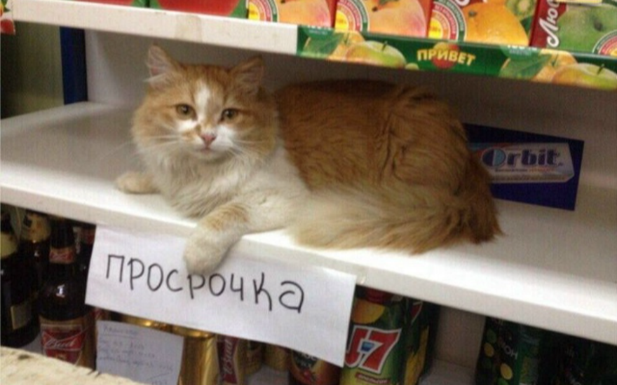 Это не просто цифры